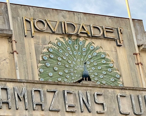 Peacock of Armazéns Cunhas department store 